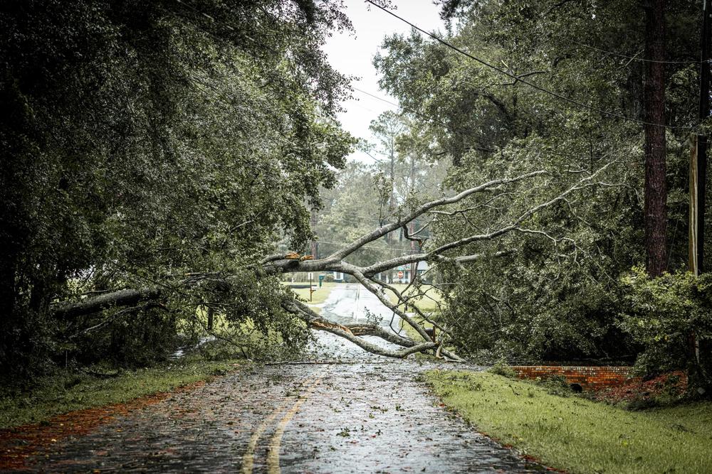 Photo for Safety Guidelines for Before, During, and After a Storm