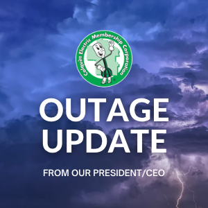 Photo for Outage Update from our President/CEO