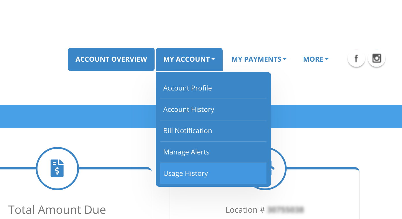 Step 2: Select Usage History under the My Account tab